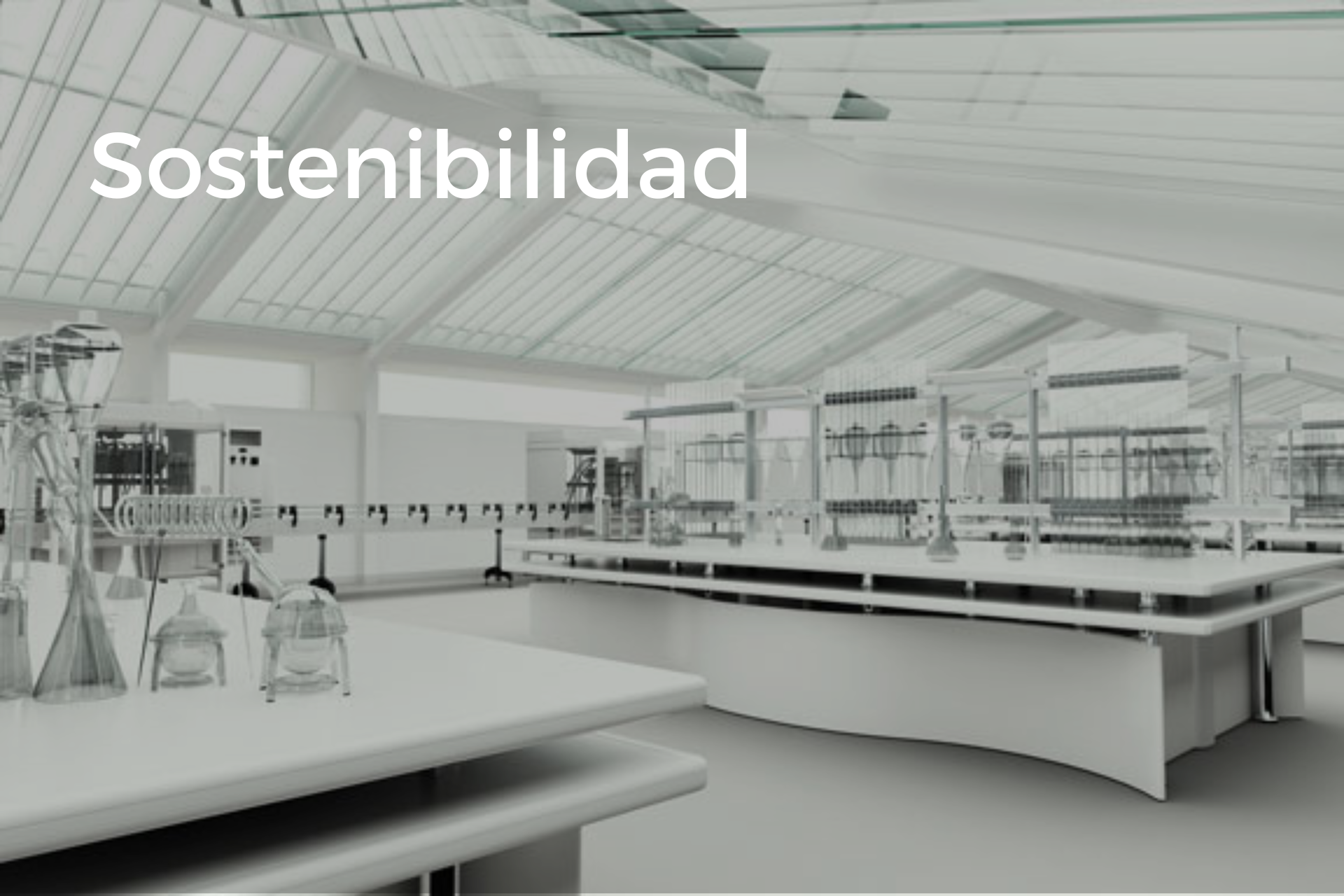 Capacidad y desarrollo